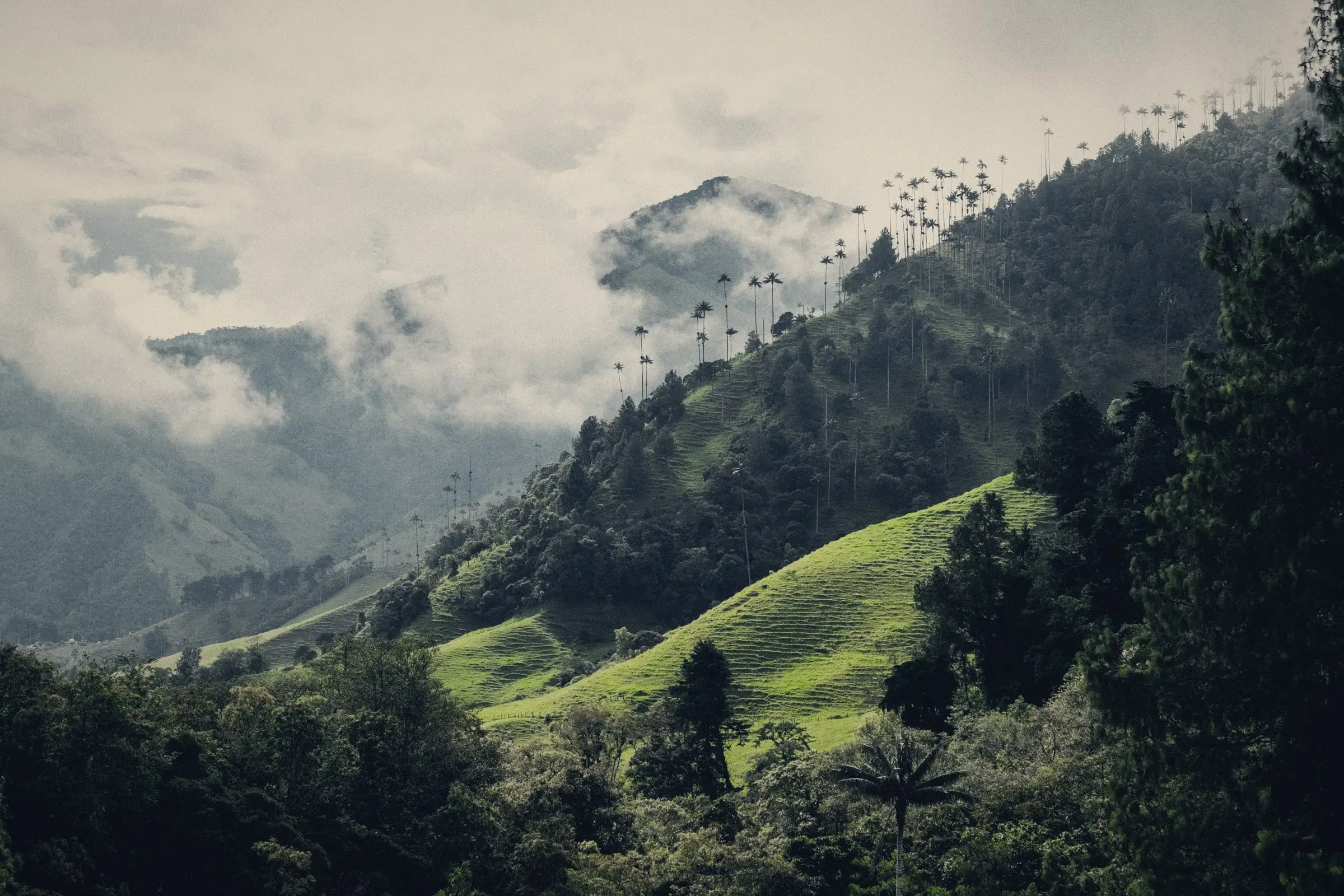 Montañas de Colombia entre la niebla